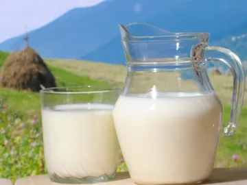 Кумыс из кобыльего молока в чаше