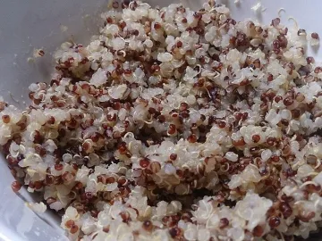 Варёная красная и белая киноа в миске