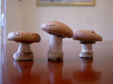 Три грибочка из безе с шоколадом и какао на столе