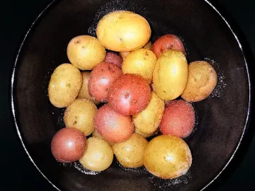 Миска с отварным молодым картофелем разных цветов с солью