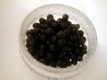 Стеклянная миска со свежей голубикой
