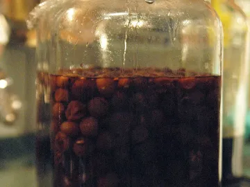 Стеклянная банка с вишней, залитой водкой, закрытая плёнкой